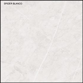 SPIDER BLANCO